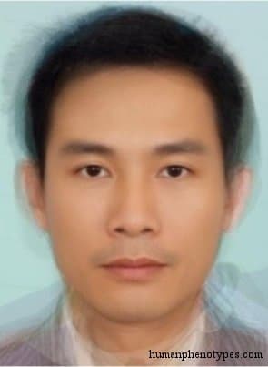 Annamid phenotype average face