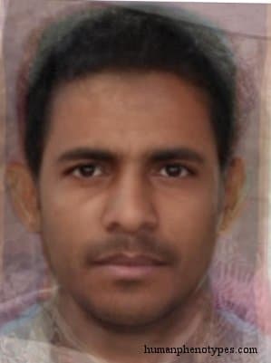 Arabian Veddoid phenotype average face