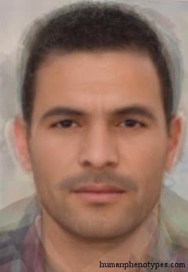 Berberid phenotype average face