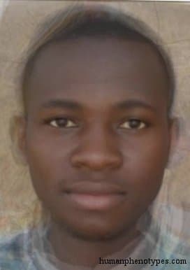 Bobo phenotype average face