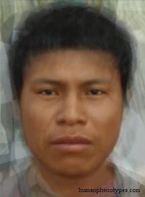 Bororo phenotype average face