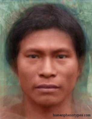 Botocudo phenotype average face