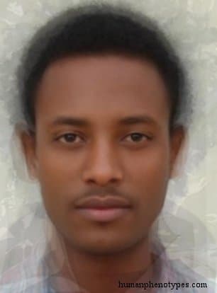 Central Ethiopid phenotype average face