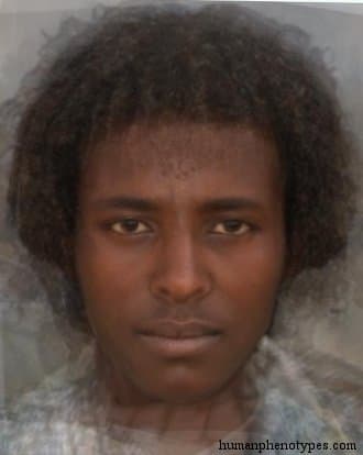 Danakil phenotype average face