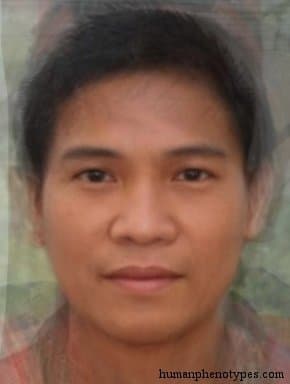 Dayakid phenotype average face