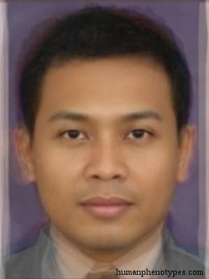Deutero Malayid phenotype average face composite