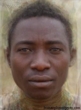 Hadza phenotype average face
