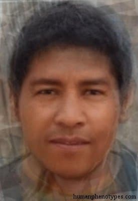 Huarpid phenotype average face