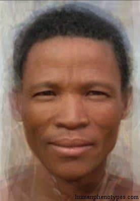 Kalaharid phenotype average face