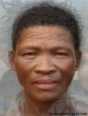 Karroid phenotype average face