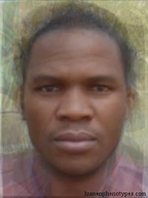 Katangid phenotype average face