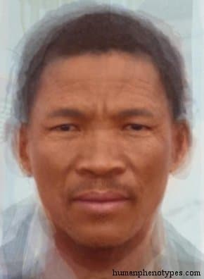Khoid phenotype average face
