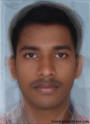 Malabarese phenotype average face