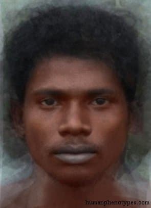 Malid phenotype average face