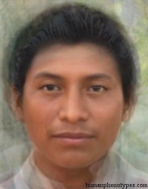 Maya phenotype average face