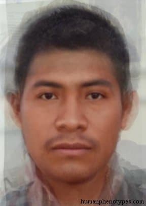 Mexicid phenotype average face