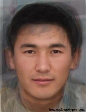 Mountain Aralid phenotype average face