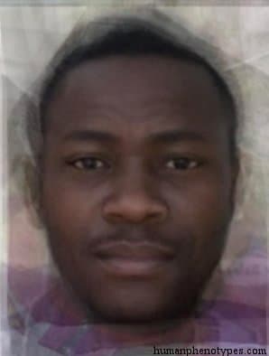 Mountain Dama phenotype average face
