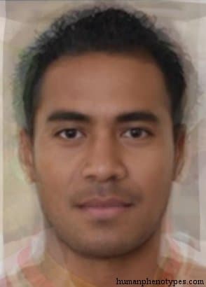 Nesiotid phenotype average face