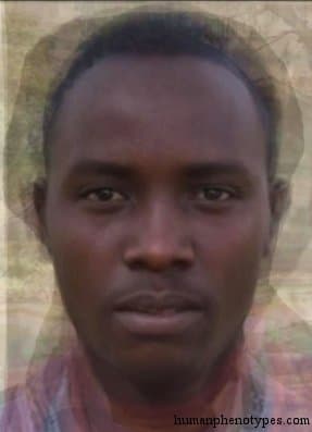 Nilo Hamitic phenotype average face