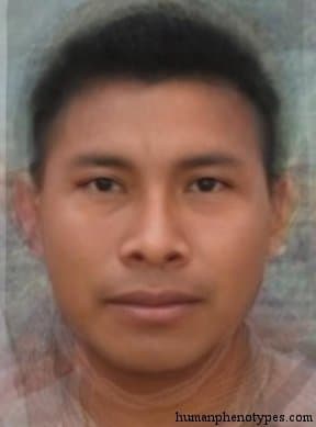 North Amazonid phenotype average face