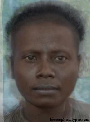 North Andamanid phenotype average face