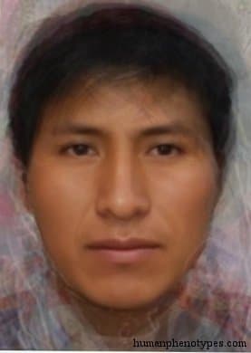 North Andid phenotype average face