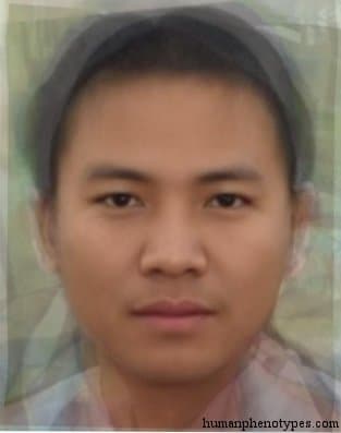 Palaungid phenotype average face