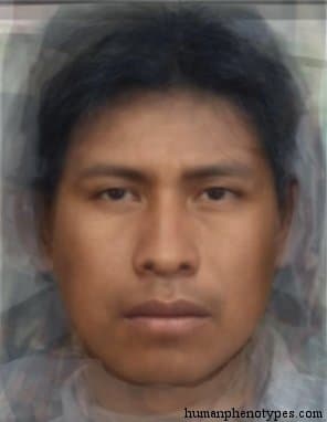 Pampid phenotype average face