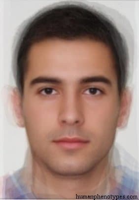 Pontid phenotype average face
