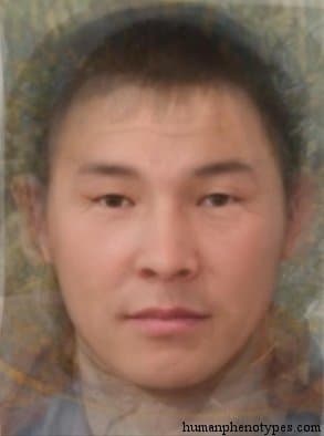 Samoyedic phenotype average face