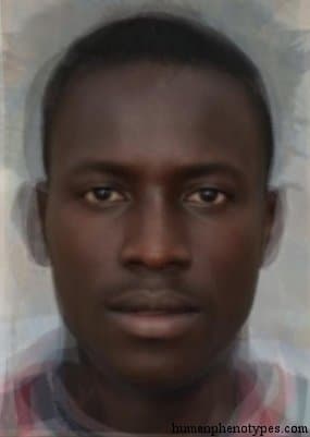 Senegalid phenotype average face