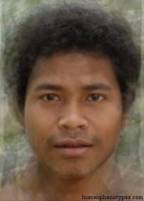 Senoid phenotype average face