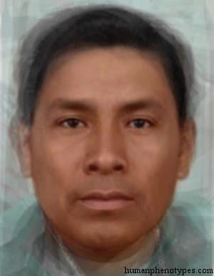 Sonorid phenotype average face