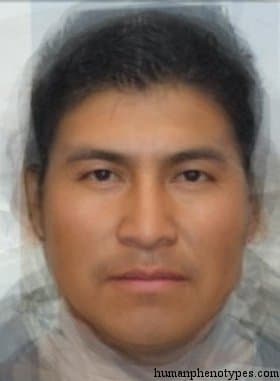 South Andid phenotype average face