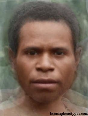 Tapirid phenotype average face