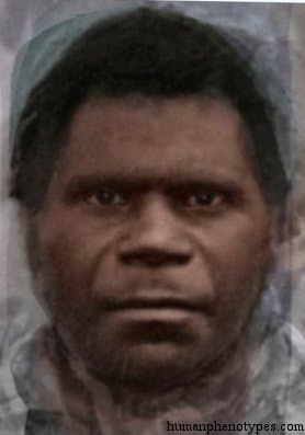 Tasmanid phenotype average face