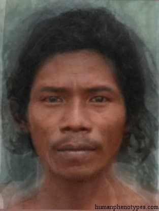 Toalid phenotype average face