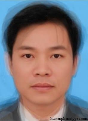 Tonkinesid phenotype average face